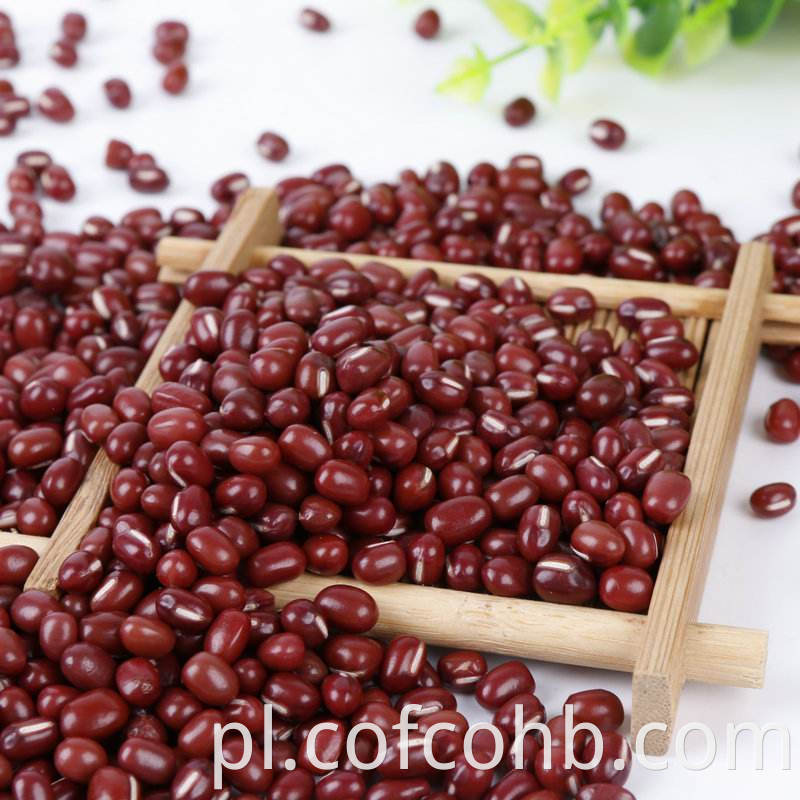 Adzuki Bean